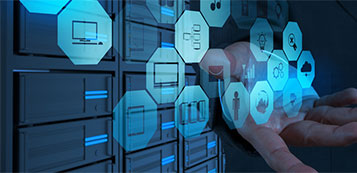 Dịch vụ công cấp mã số trực tuyến