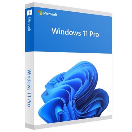 Phần mềm Windows Pro 11 64Bit Eng Intl 1pk DSP OEI DVD (FQC-10528)