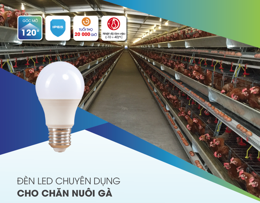 Đ&egrave;n LED chuy&ecirc;n dụng cho chăn nu&ocirc;i g&agrave;