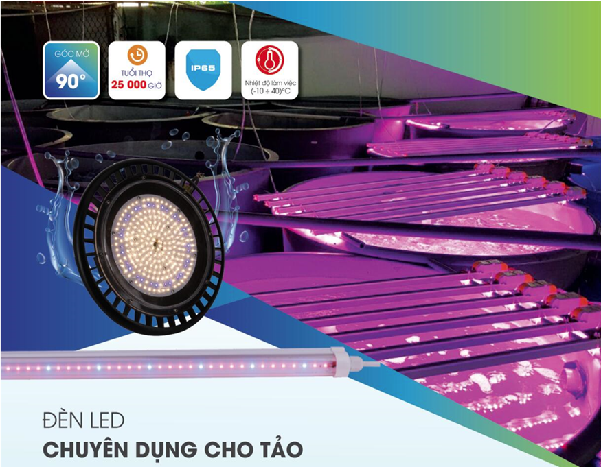 Đ&egrave;n LED chuy&ecirc;n dụng cho tảo
