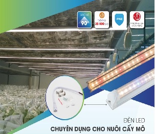Đ&egrave;n led nu&ocirc;i cấy m&ocirc;