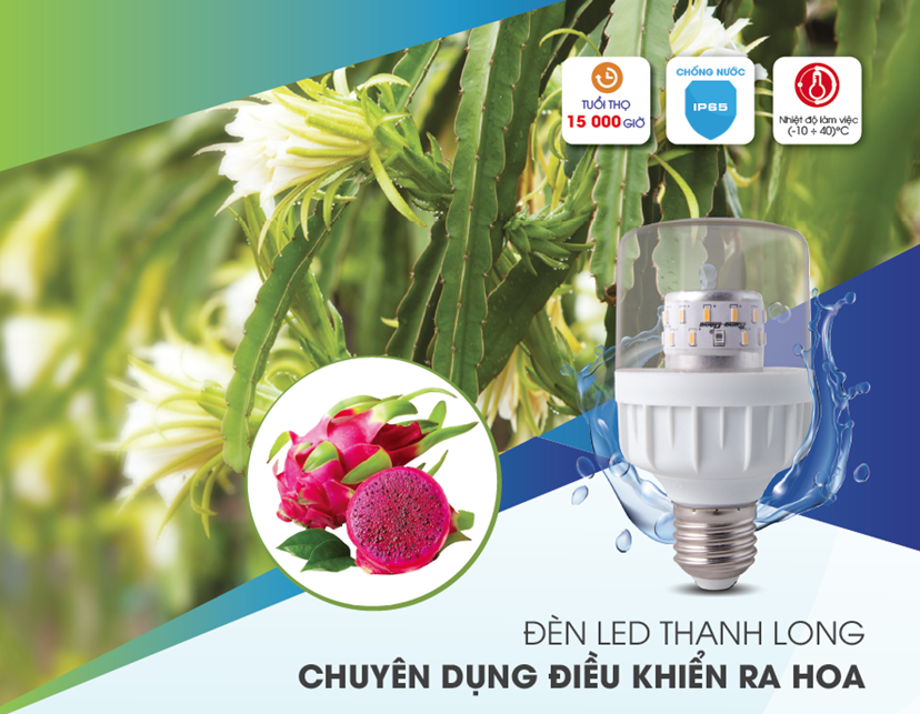 Đ&egrave;n LED chuy&ecirc;n dụng cho thanh long