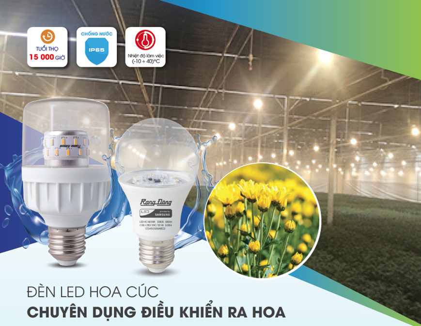 Đèn LED chuyên dụng hoa cúc