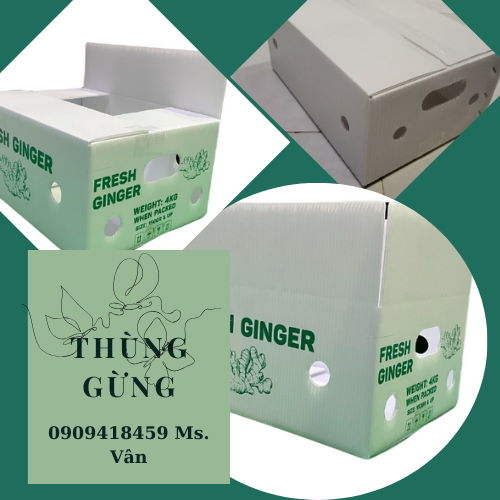 Thùng nhựa đựng gừng giá rẻ xuất khẩu 