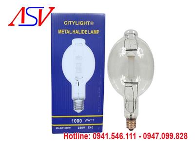 Đèn cao áp Metal dành cho câu cá 1000W