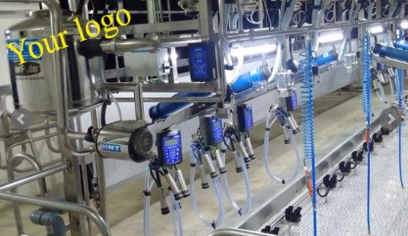 Hệ thống vắt sữa tự động iMilk