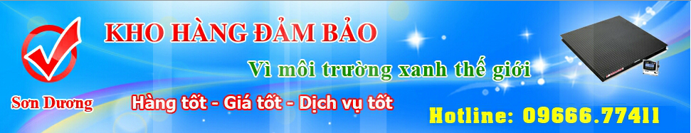 Công Ty TNHH Sơn Dương Việt Nam