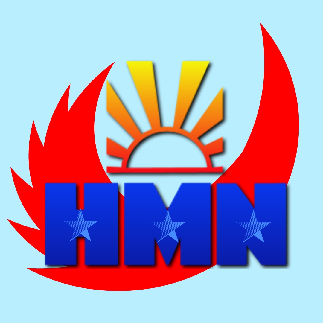 C&ocirc;ng ty TNHH thương mại v&agrave; dịch vụ Hải Minh Nam