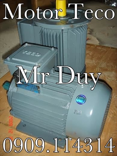Motor Teco