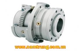 Khớp nối mềm loại N-EUPEX