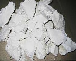 Đá Dolomite sống