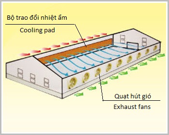 Hệ thống xử lý không khí bằng nước 