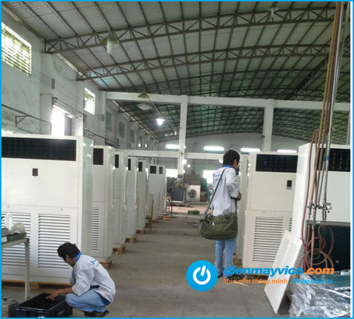 Cho thu&ecirc; m&aacute;y lạnh c&ocirc;ng suất 10 Hp