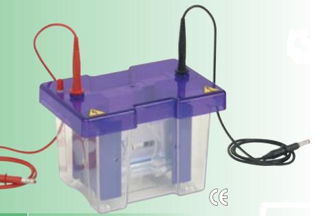 Bộ điện di đứng CVS10D