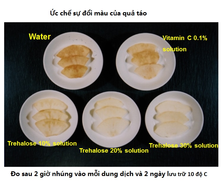 Đường Tảo