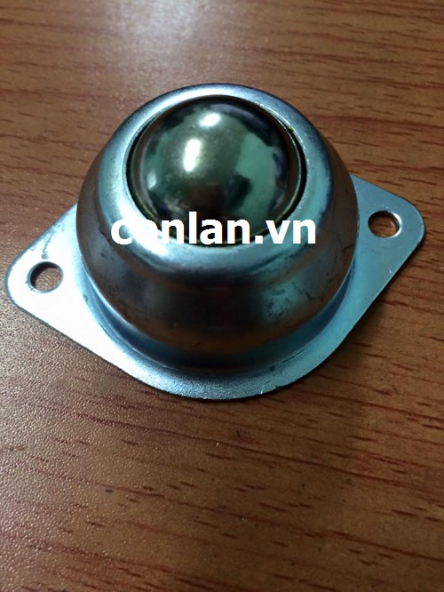 Con lăn bi cầu