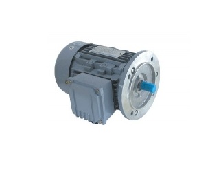 Motor 3 phase Dolin 2P/ 4P/ 6P chân đế và mặt bích