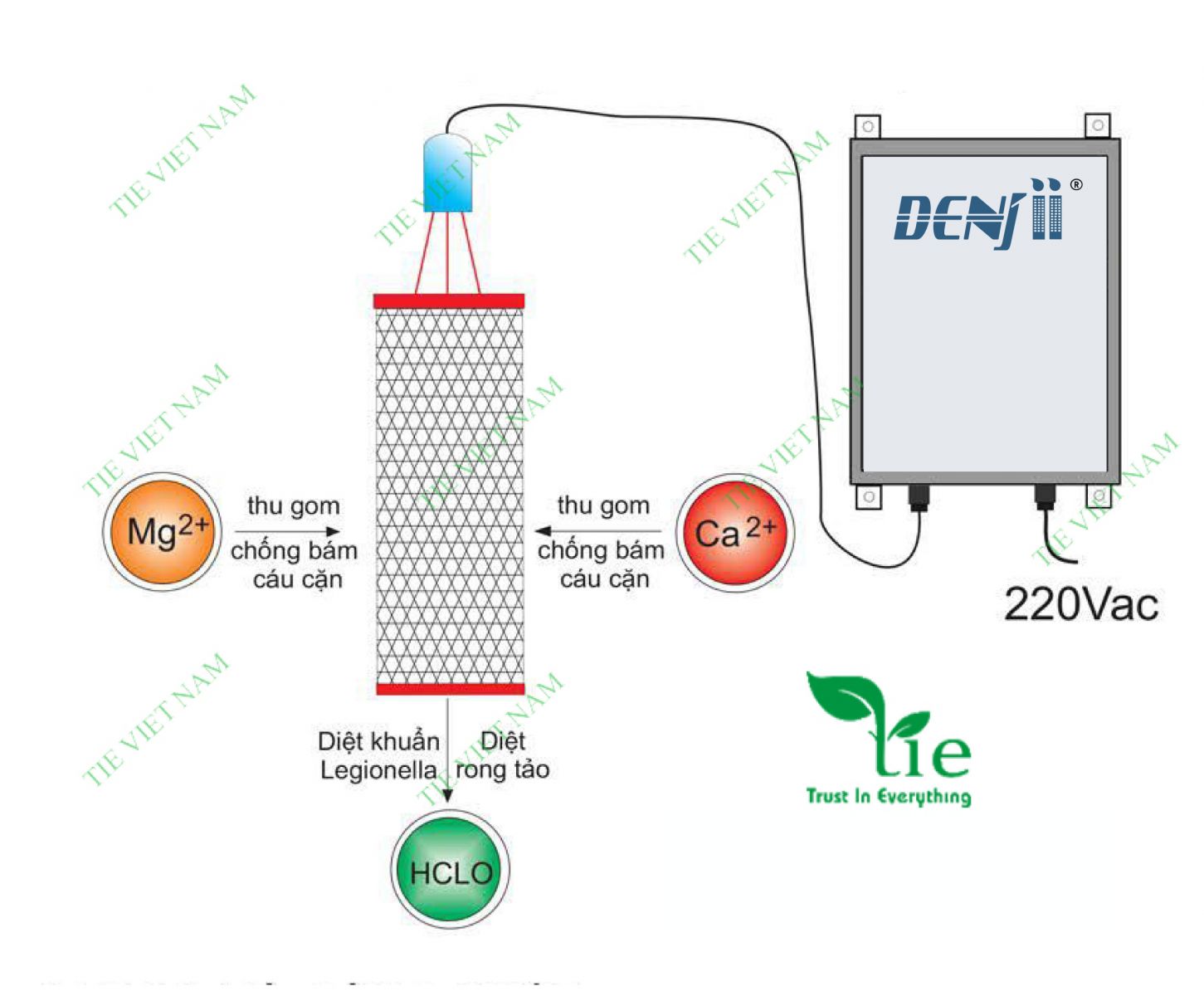 Hệ thống xử l&yacute; c&aacute;u cặn kh&ocirc;ng d&ugrave;ng hoa chất Denjii