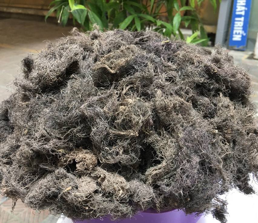 Rong biển Metco B2